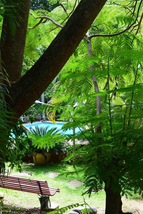 Ecolokay Appartement La Trinité Buitenkant foto